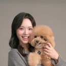 퐁주르 네이버블로그