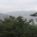 냉천주유소 이미지