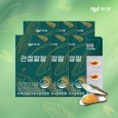 팔팔엄마 | 무릎 건강 챙기는 나만 알고 싶은 씨스팡 관절팔팔 솔직 후기