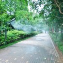 서빙고(근린공원) 이미지