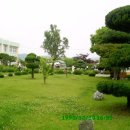 새온천탕 이미지