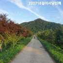 벌교태인 이미지