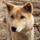 스마일식육점 이미지