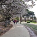 햇살나무작은도서관 이미지