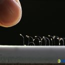 3.1운동기념관 이미지