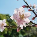 걸매생태공원 이미지