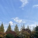 율곡천 6 이미지