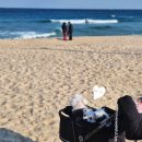 순포습지 | 강릉 강아지 동반 가족여행 / 순포해변