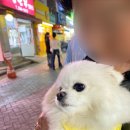 채련농장 이미지