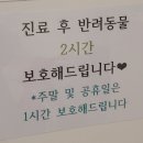 웰니스 클리닉 동물병원 이미지