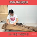 12현에서 25현까지 가야금 배우기 이미지