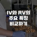 Radioactive. | IV와 RV의 주요 특징 비교하기