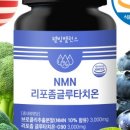 웰밸런스