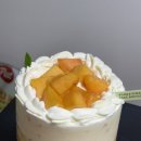 썸머씨 | 성심당 롯데백화점 복숭아시루 썸머요거피치 웨이팅 할만한가 솔직후기