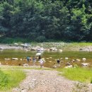 금고2리 이미지