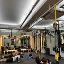 필라핏 156 이미지