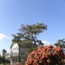 나문재관광농원 이미지