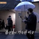 오리한마리 이미지