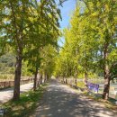 GR(괴산군)-[충민로]-하-3 | 직접 다녀온 괴산 가볼만한 곳 가족 당일치기 여행, 산막이 옛길, 문광저수지, 얼음골 식당