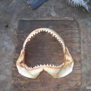 공동어시장 입구 이미지