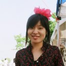2008년 작년 열반화 무대 안내, 사진들, 관련 기사들 입니다. 이미지