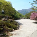 송전리 마을회관 이미지