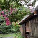 지리산물푸레흙집펜션 이미지