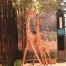 런던부페 이미지