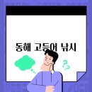 동해낚시 - 동해시 발한로 262 | 동해낚시