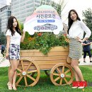 서울오토 이미지