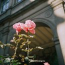 나는너의밥이다 이미지