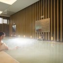 디 아넥스 이미지