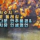 광교저수지 산책로 둘레길 아름다운 만추풍경과 마음치유 인생명언 3편 이미지