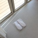 소서제주 7월2일 | 애월 감성숙소 애견동반 가능한 소서제주 독채펜션 후기