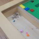 반월초등학교병설유치원 이미지