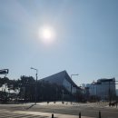 국립세종도서관 버스정류장 이미지