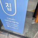 춘천 고양이집 이미지