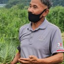 개선농장 이미지