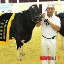 묵방목장 이미지