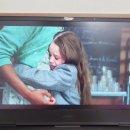 샬롯의 거미줄 뮤지컬 이미지