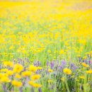 선산체육공원 체육시설 이미지