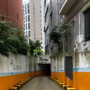 메가약국 이미지