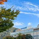 (주)호텔롯데롯데월드롯데워터파크실내동 | 롯데워터파크 미들로우시즌 운영 기간 및 이용 요금 안내