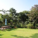 모네의숲
