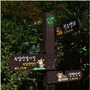 생태터널입구 이미지