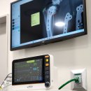 둔촌동물병원 이미지