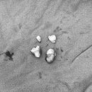 두류사랑니치과의원 이미지