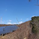 둔덕태양광발전소 이미지