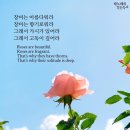 야간수업 이미지