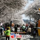 안동시 관광진흥 네 번째..사(四)계절 축제로 거듭난다. 이미지